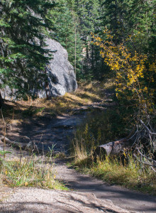 Boulder.OrangeAspen